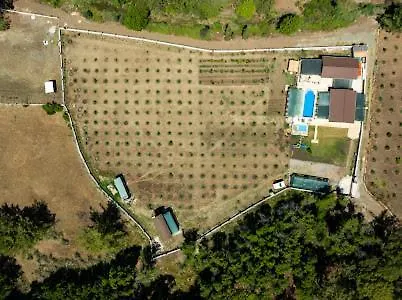 民宿 Sora No Mori *