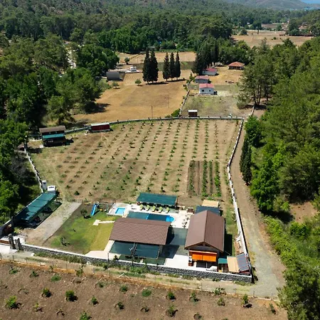 Homestay Sora No Mori *