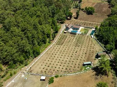 Kwatera prywatna Sora No Mori *